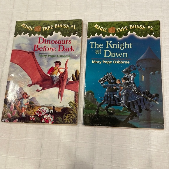 Bundle 20 Magic tree house series accelerated reader paperback books - Picture 3 of 14